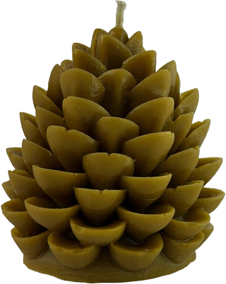44DDC3D2 4710 49CC 8D01 44A03BE06A00 ZHORISHKY