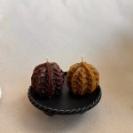 Великий волоський горіх 7 img 8914 ZHORISHKY