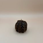 Великий волоський горіх 9 img 9380 ZHORISHKY