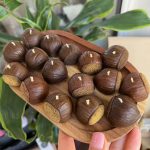 Лісовий горіх 10 img 9489 ZHORISHKY