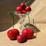 Велика вишня 6 zgr 100004 gallery 01 ZHORISHKY