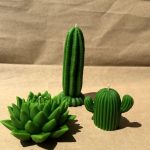 Малий кактус 6 zgr 100009 gallery 01 ZHORISHKY