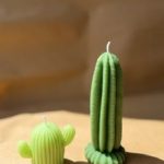 Малий кактус 7 zgr 100009 gallery 02 ZHORISHKY