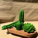 Малий кактус 8 zgr 100009 gallery 03 ZHORISHKY