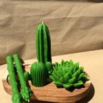 Великий кактус 6 zgr 100010 gallery 02 ZHORISHKY